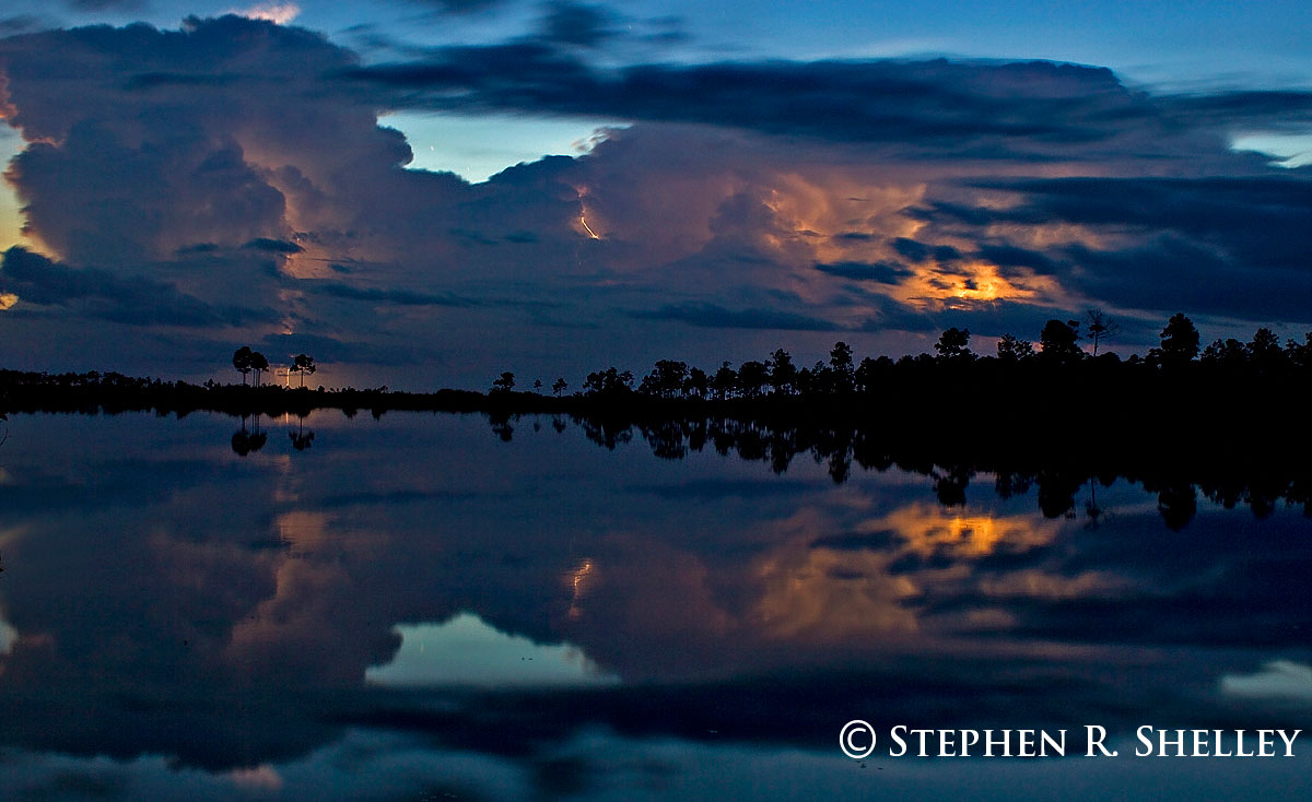 Pine Glades Lightning